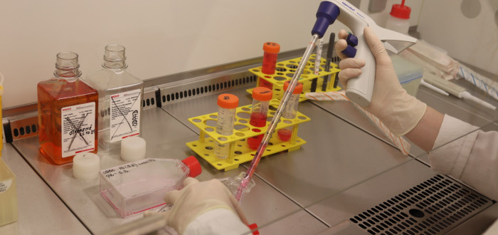 Výskumný tím NÚRCH-u so sľubnými zisteniami – nový zdroj buniek pre výrobu bioimplantátov?