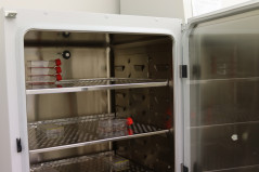 Inkubátor pre bunkové kultúry s humidifikovanou atmosférou s 5% oxidom uhličitým (CO2) a teplotou 37°Ci v kultivačných fľašiach a 24-jamkové platničky s izolátmi (izolovanými bunkami)