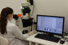 Kontrola úspešnosti izolácie a mikroskopické monitorovanie morfológie adherentných kmeňových buniek z moču (UdSCs) vedeckým pracovníkom