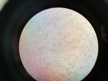 Mikroskopický vizuál mezenchymálnych kmeňových buniek