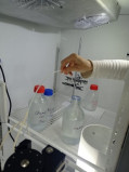 Výroba protilátky zo surového králičieho antiséra metódou imunoafinitnej purifikácie 1, DB Biotech